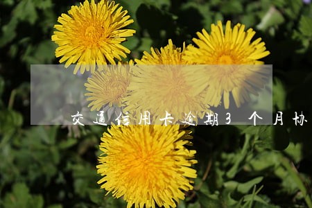 交通信用卡逾期3个月协商 交通信用卡逾期3个月协商