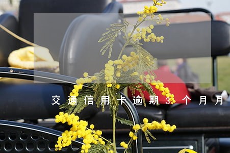交通信用卡逾期3个月月