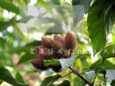 交通信用卡逾期3天钱还了 交通信用卡逾期3天钱还了