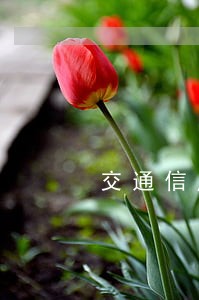 交通信用卡逾期3月催收 交通信用卡逾期3月催收