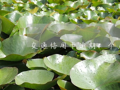 交通信用卡逾期4个月上海 交通信用卡逾期4个月上海