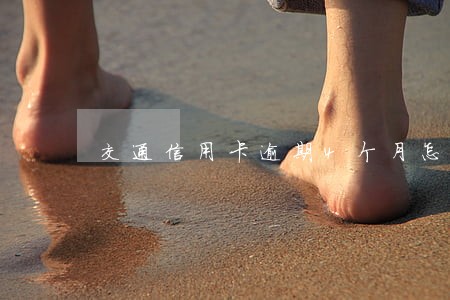 交通信用卡逾期4个月怎么还 交通信用卡逾期4个月怎么还