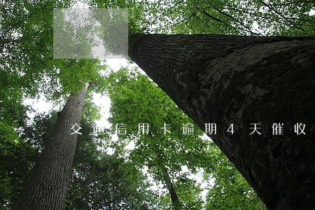 交通信用卡逾期4天催收 交通信用卡逾期4天催收