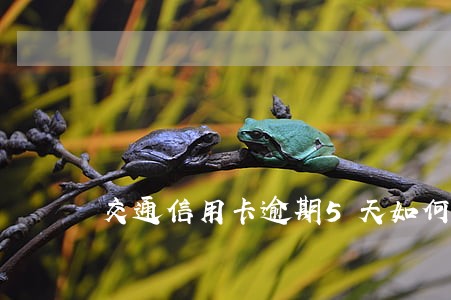 交通信用卡逾期5天如何补救 交通信用卡逾期5天如何补救