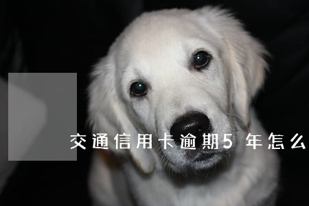 交通信用卡逾期5年怎么办 交通信用卡逾期5年怎么办