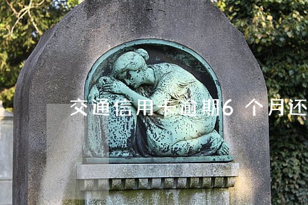 交通信用卡逾期6个月还一点