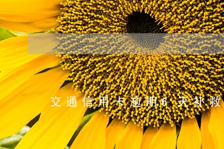 交通信用卡逾期6天补救 交通信用卡逾期6天补救