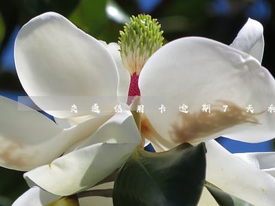 交通信用卡逾期7天利息 交通信用卡逾期7天利息