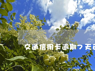 交通信用卡逾期7天已还