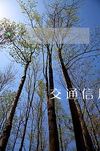 交通信用卡逾期8天有什么影响