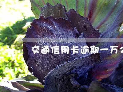 交通信用卡逾期一万2 交通信用卡逾期一万2