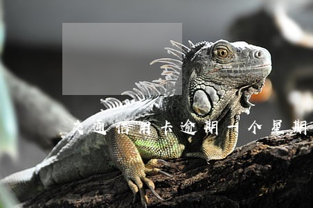交通信用卡逾期一个星期 交通信用卡逾期一个星期