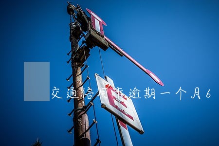 交通信用卡逾期一个月6 交通信用卡逾期一个月6