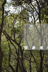 交通信用卡逾期一个月封卡 交通信用卡逾期一个月封卡