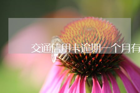 交通信用卡逾期一个月有什么后果 交通信用卡逾期一个月有什么后果