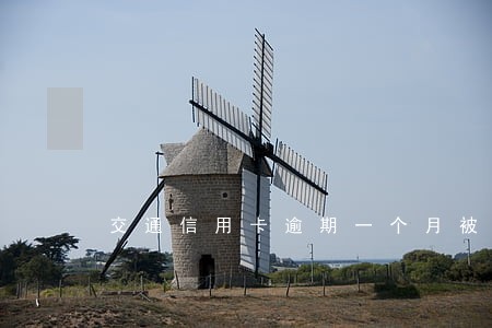 交通信用卡逾期一个月被冻结 交通信用卡逾期一个月被冻结
