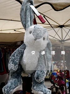 交通信用卡逾期一个月还不了 交通信用卡逾期一个月还不了