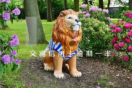 交通信用卡逾期一半 交通信用卡逾期一半