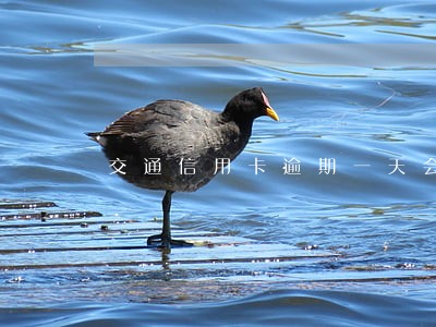 交通信用卡逾期一天会怎样 交通信用卡逾期一天会怎样