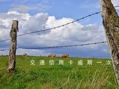 交通信用卡逾期一次5天 交通信用卡逾期一次5天