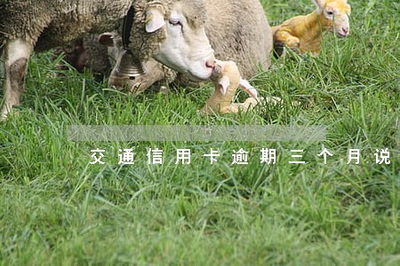 交通信用卡逾期三个月说报警了