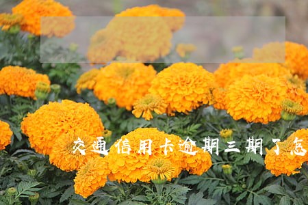 交通信用卡逾期三期了怎么办 交通信用卡逾期三期了怎么办