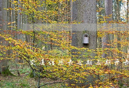 交通信用卡逾期三期开卡 交通信用卡逾期三期开卡