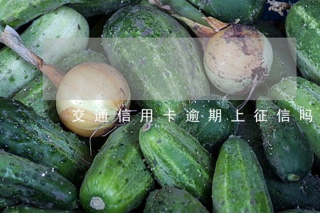 交通信用卡逾期上征信吗 交通信用卡逾期上征信吗