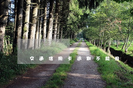 交通信用卡逾期不能用 交通信用卡逾期不能用