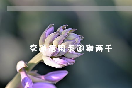 交通信用卡逾期两千