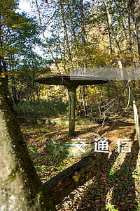 交通信用卡逾期两天利息怎么算