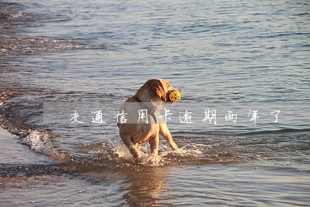 交通信用卡逾期两年了