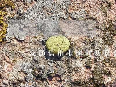 交通信用卡逾期两月免息 交通信用卡逾期两月免息