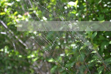 交通信用卡逾期两期后果怎样 交通信用卡逾期两期后果怎样
