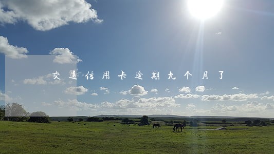 交通信用卡逾期九个月了 交通信用卡逾期九个月了