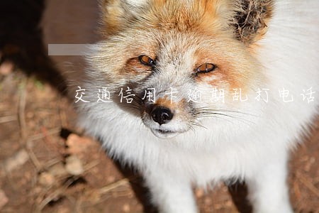 交通信用卡逾期乱打电话