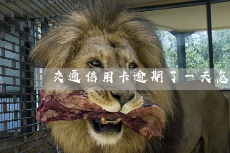 交通信用卡逾期了一天怎么办