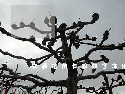 交通信用卡逾期了冻结了 交通信用卡逾期了冻结了