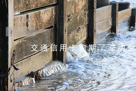 交通信用卡逾期了滞纳金怎么算
