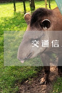 交通信用卡逾期了起诉吗 交通信用卡逾期了起诉吗