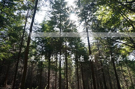 交通信用卡逾期二十五回怎么样 交通信用卡逾期二十五回怎么样