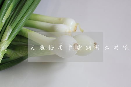 交通信用卡逾期什么时候更新 交通信用卡逾期什么时候更新