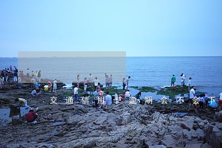 交通信用卡逾期会不会下来调查