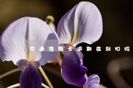 交通信用卡逾期会划扣吗 交通信用卡逾期会划扣吗