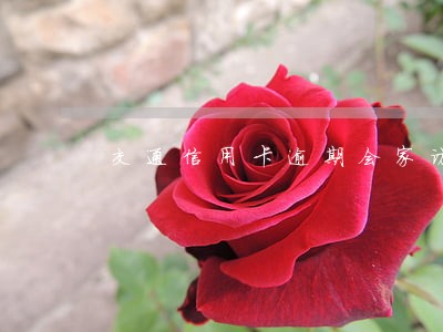 交通信用卡逾期会家访吗 交通信用卡逾期会家访吗