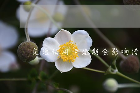 交通信用卡逾期会影响借记卡吗 交通信用卡逾期会影响借记卡吗