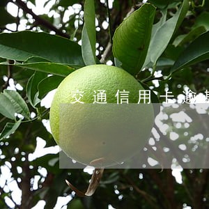 交通信用卡逾期会给亲属打电话吗 交通信用卡逾期会给亲属打电话吗