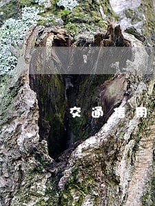 交通信用卡逾期八个月解冻 交通信用卡逾期八个月解冻