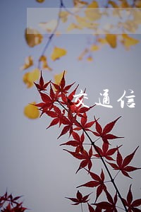 交通信用卡逾期公安局介入 交通信用卡逾期公安局介入