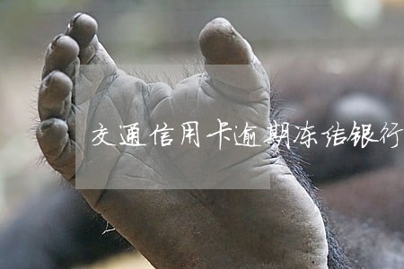 交通信用卡逾期冻结银行卡 交通信用卡逾期冻结银行卡